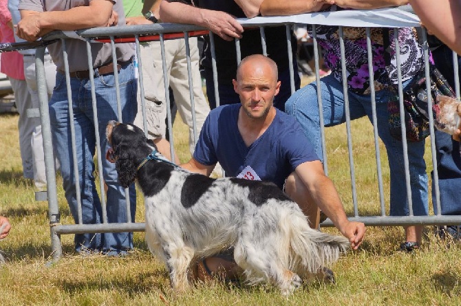 Des Miroirs D'Automne - expo canine saint brieuc 2014