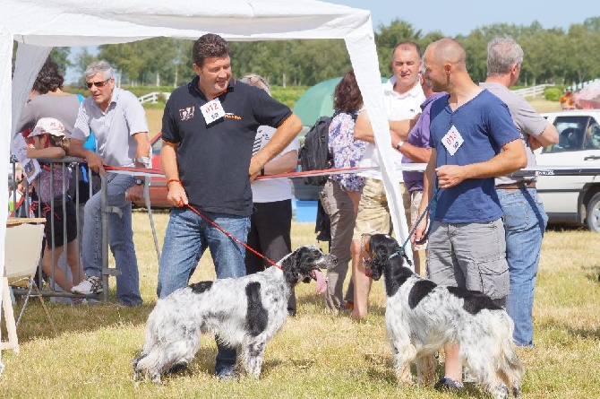 Des Miroirs D'Automne - régionale d élevage bretonne 2014