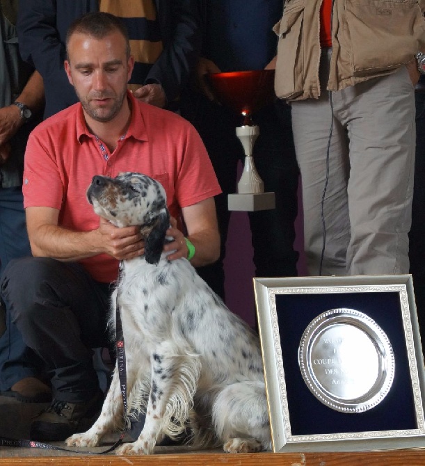 Des Miroirs D'Automne - Coupe de France des novices 2015 à Gorre